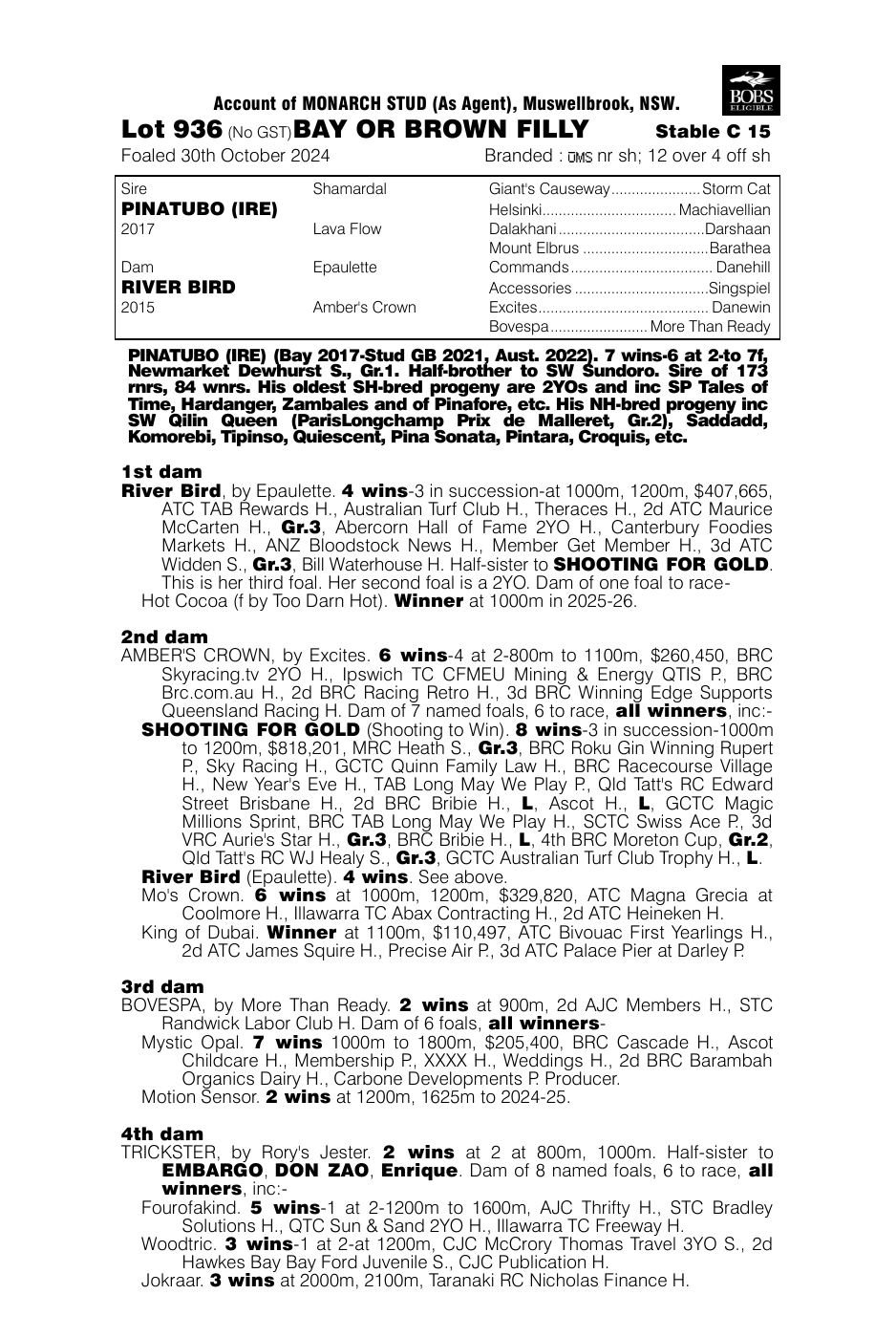 Pedigree - Lot 936