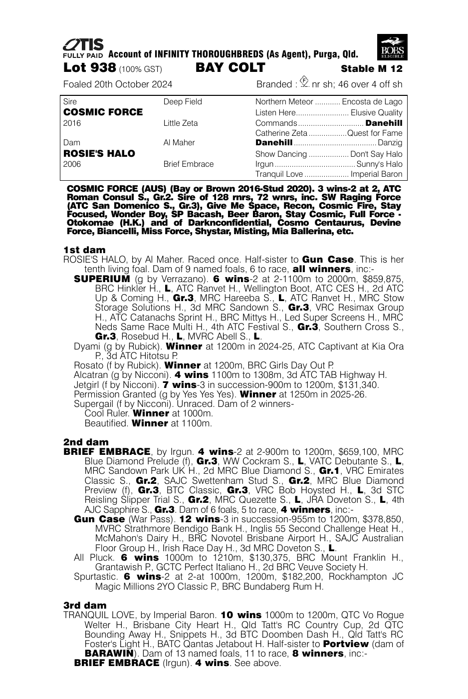 Pedigree - Lot 938