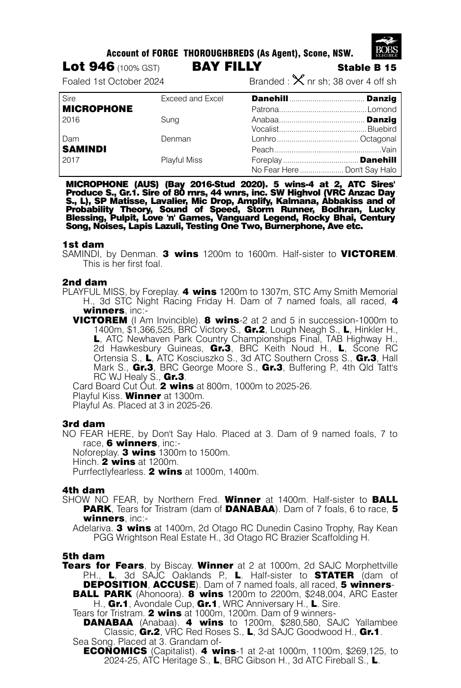 Pedigree - Lot 946
