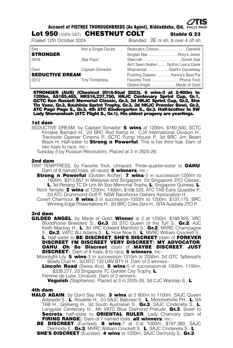 Pedigree - Lot 950