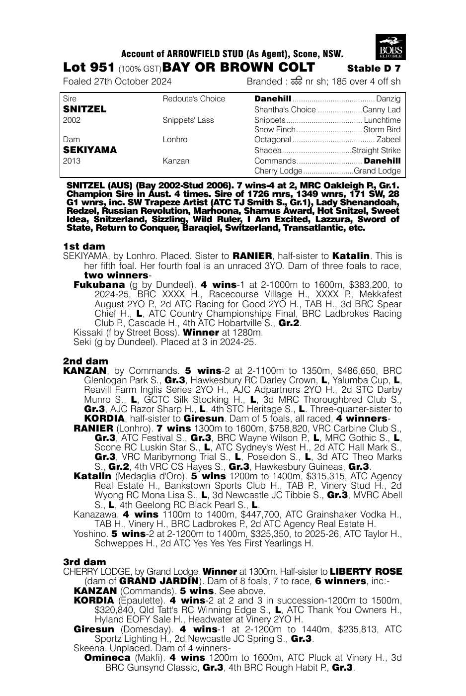 Pedigree - Lot 951