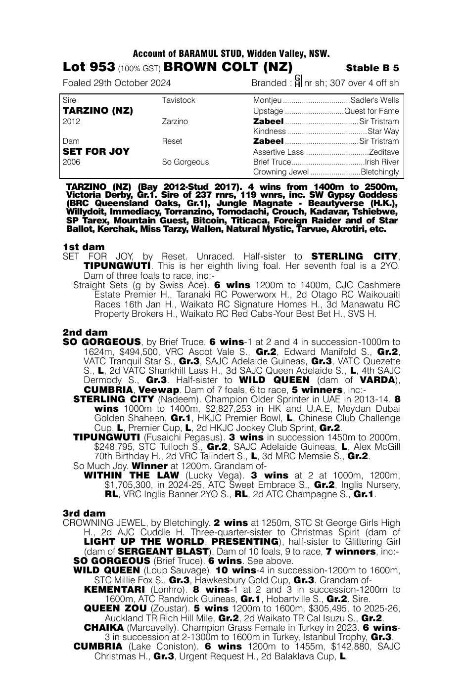 Pedigree - Lot 953