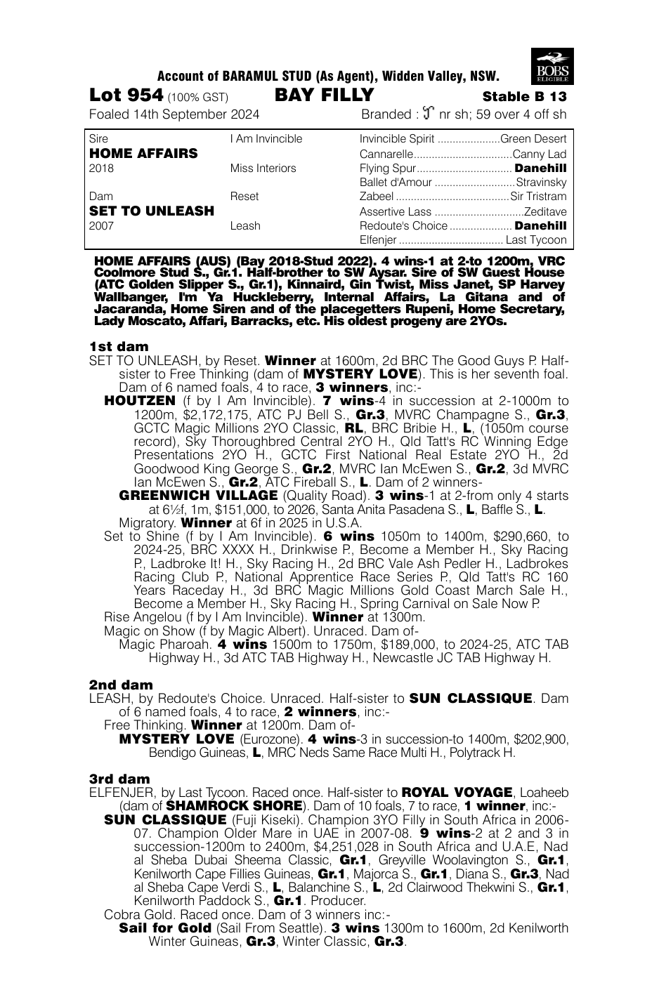 Pedigree - Lot 954