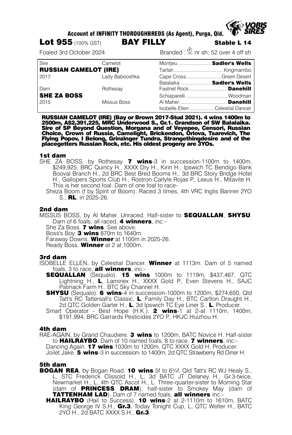 Pedigree - Lot 955