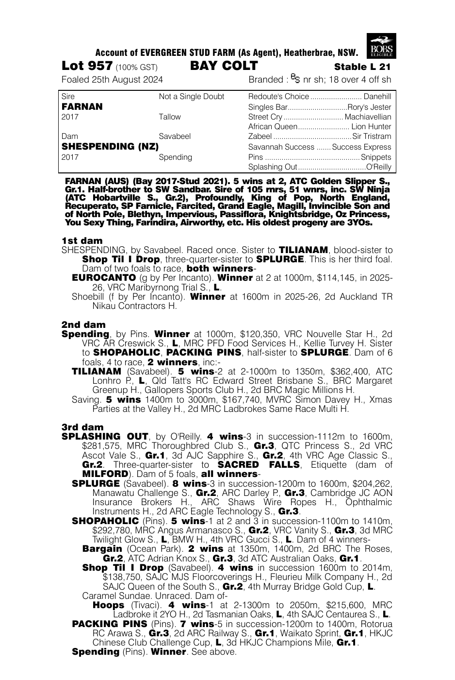 Pedigree - Lot 957