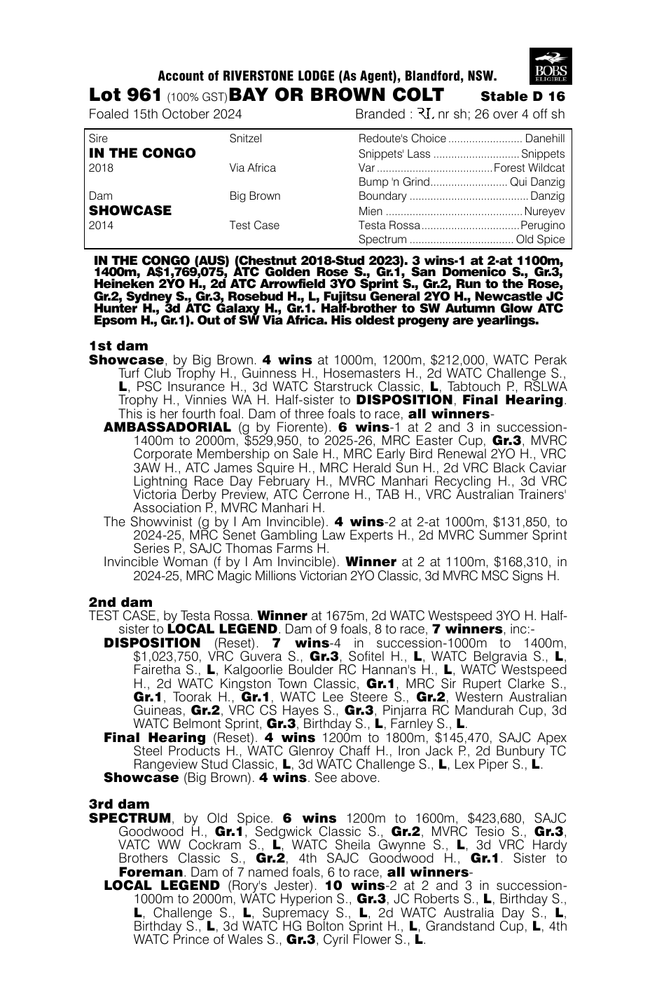 Pedigree - Lot 961