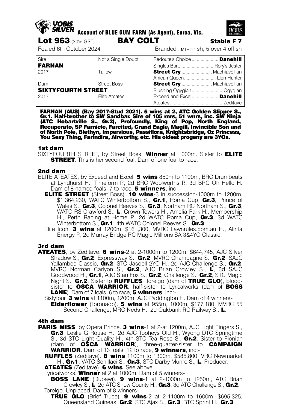 Pedigree - Lot 963
