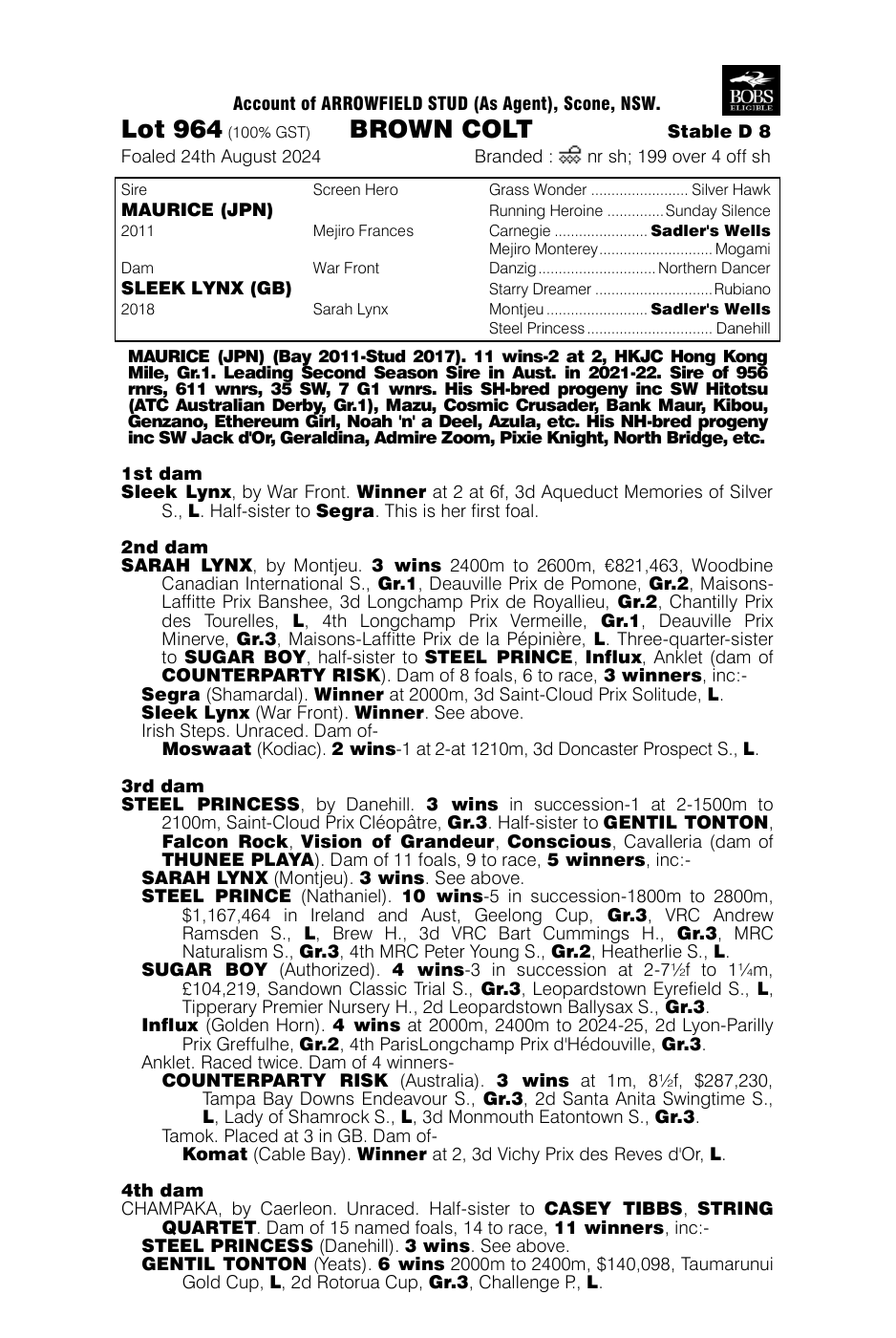 Pedigree - Lot 964