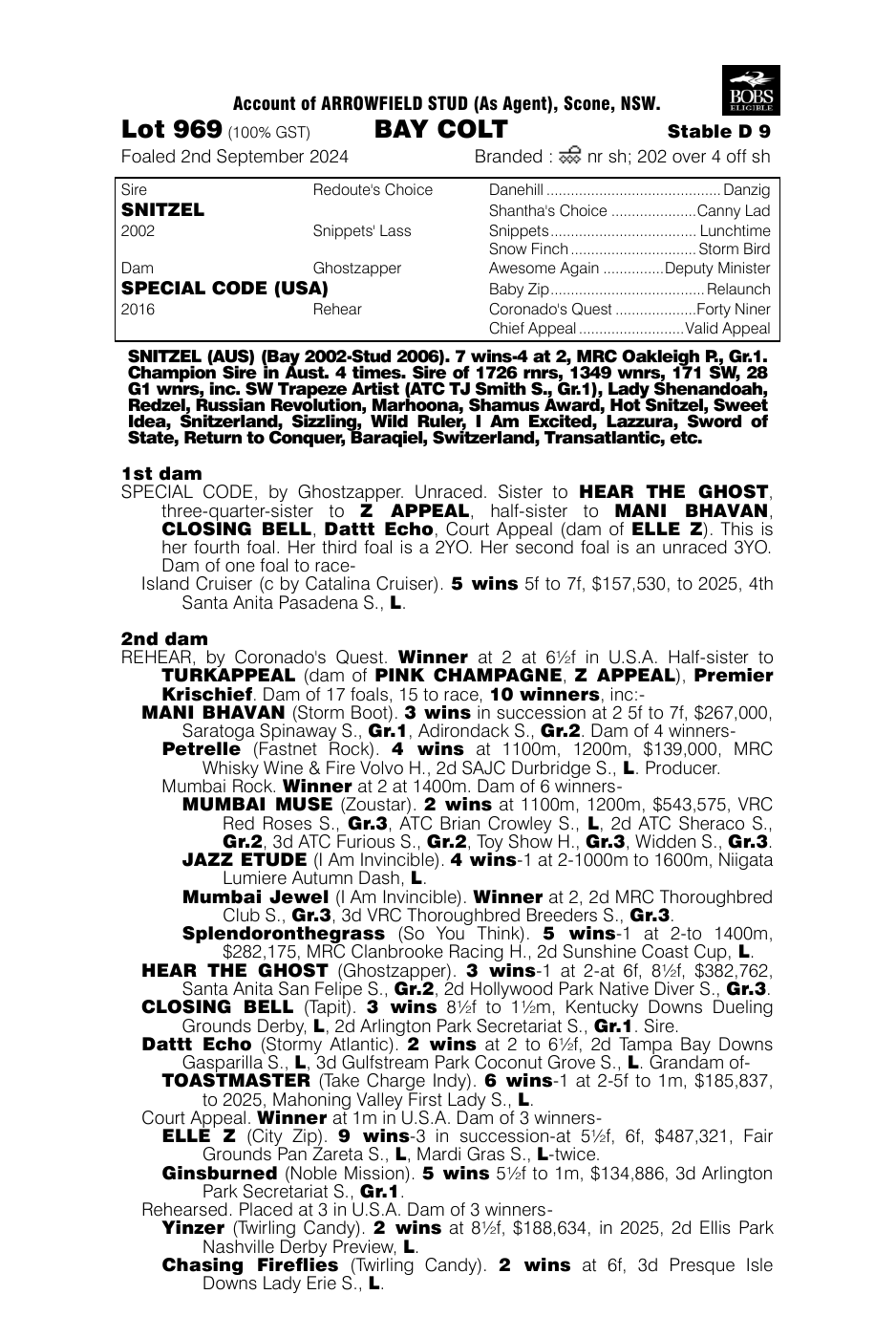 Pedigree - Lot 969