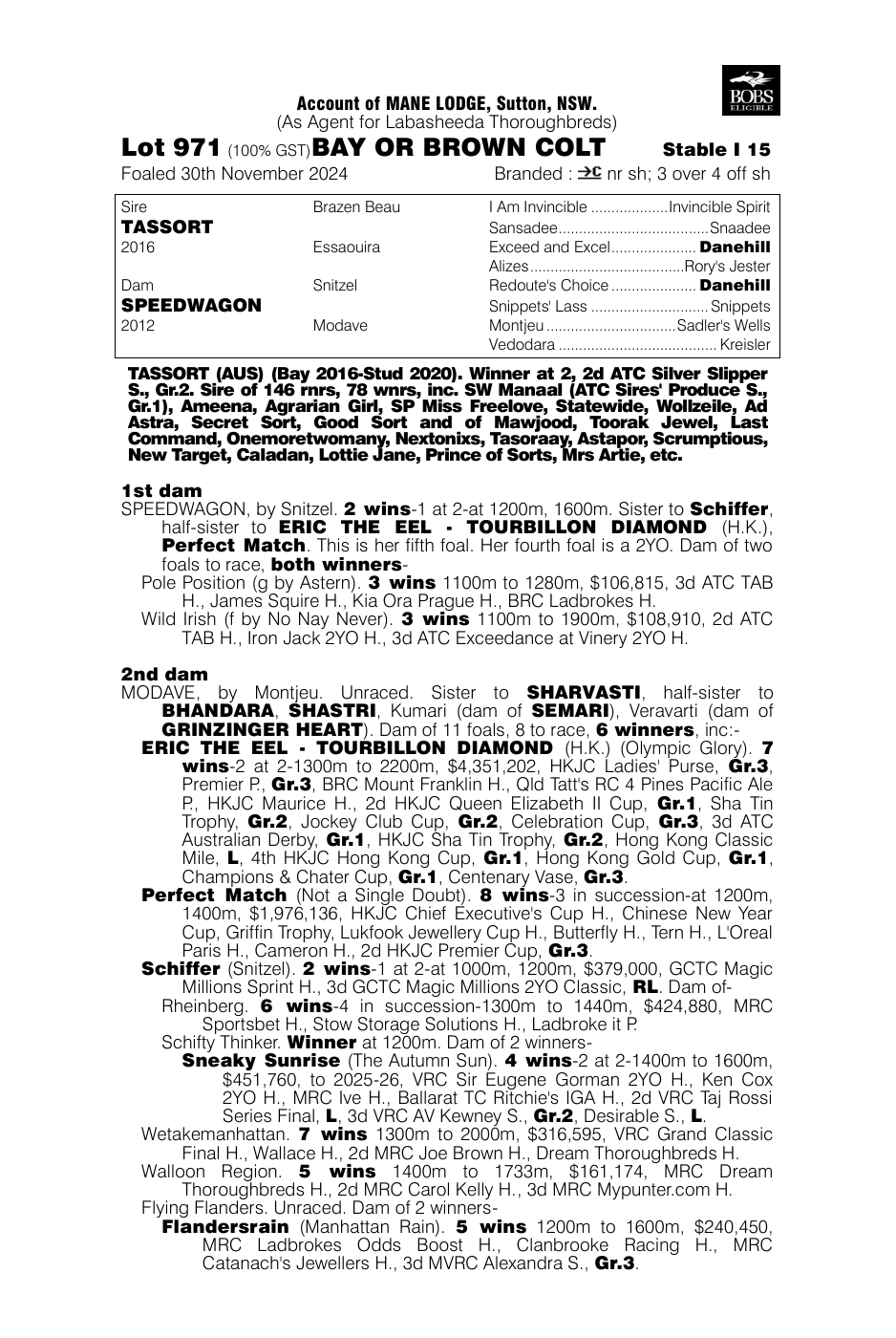 Pedigree - Lot 971