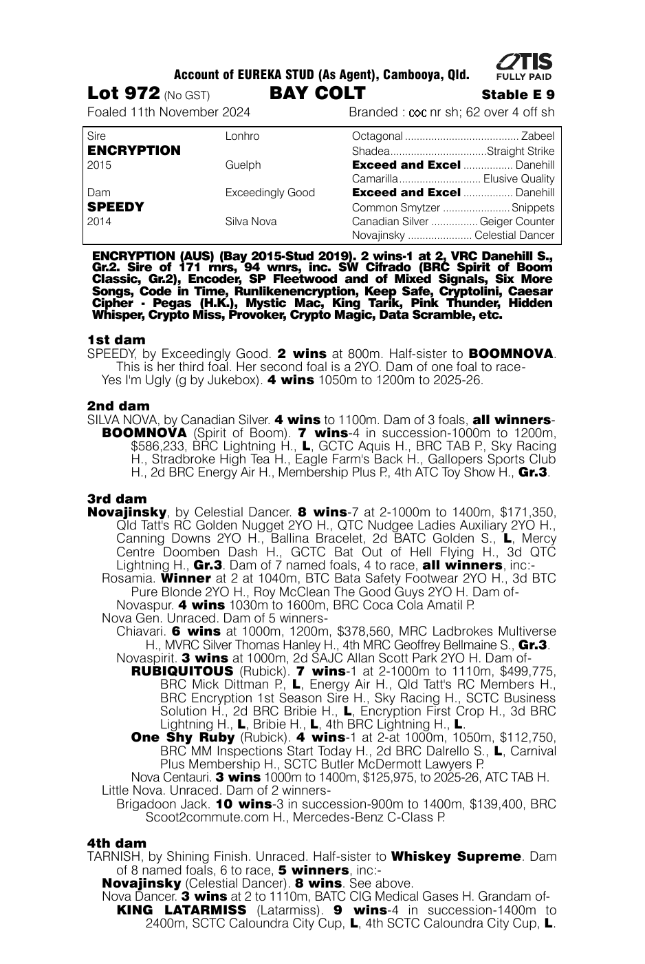 Pedigree - Lot 972