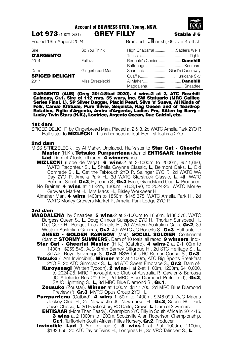 Pedigree - Lot 973