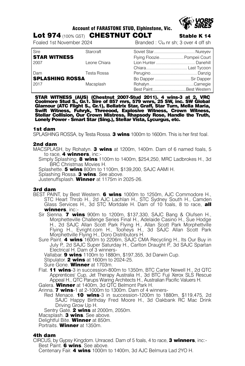 Pedigree - Lot 974