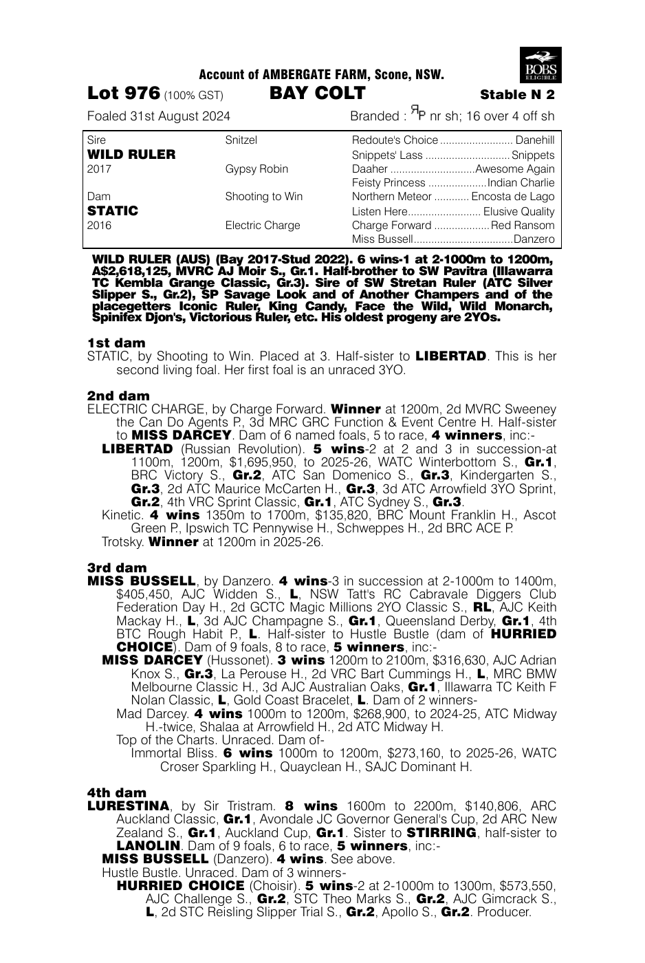 Pedigree - Lot 976