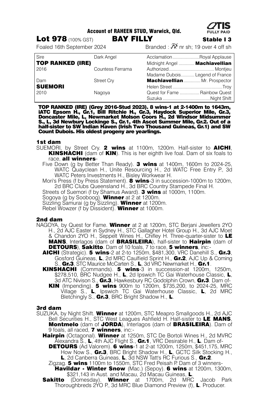 Pedigree - Lot 978