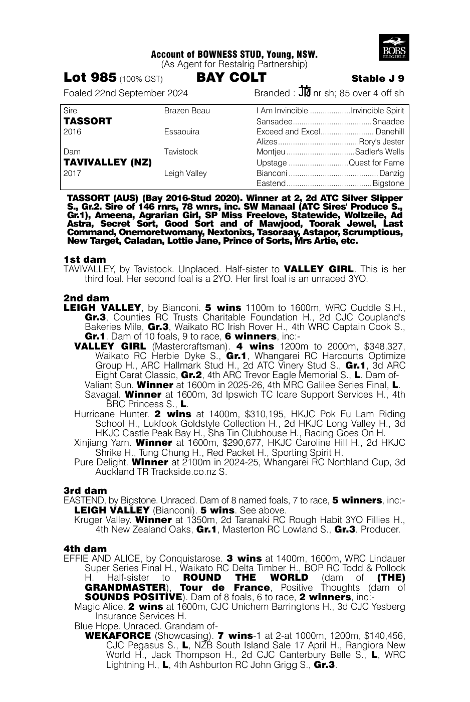 Pedigree - Lot 985