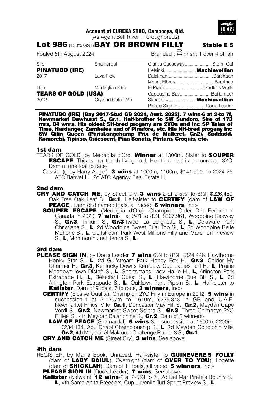 Pedigree - Lot 986