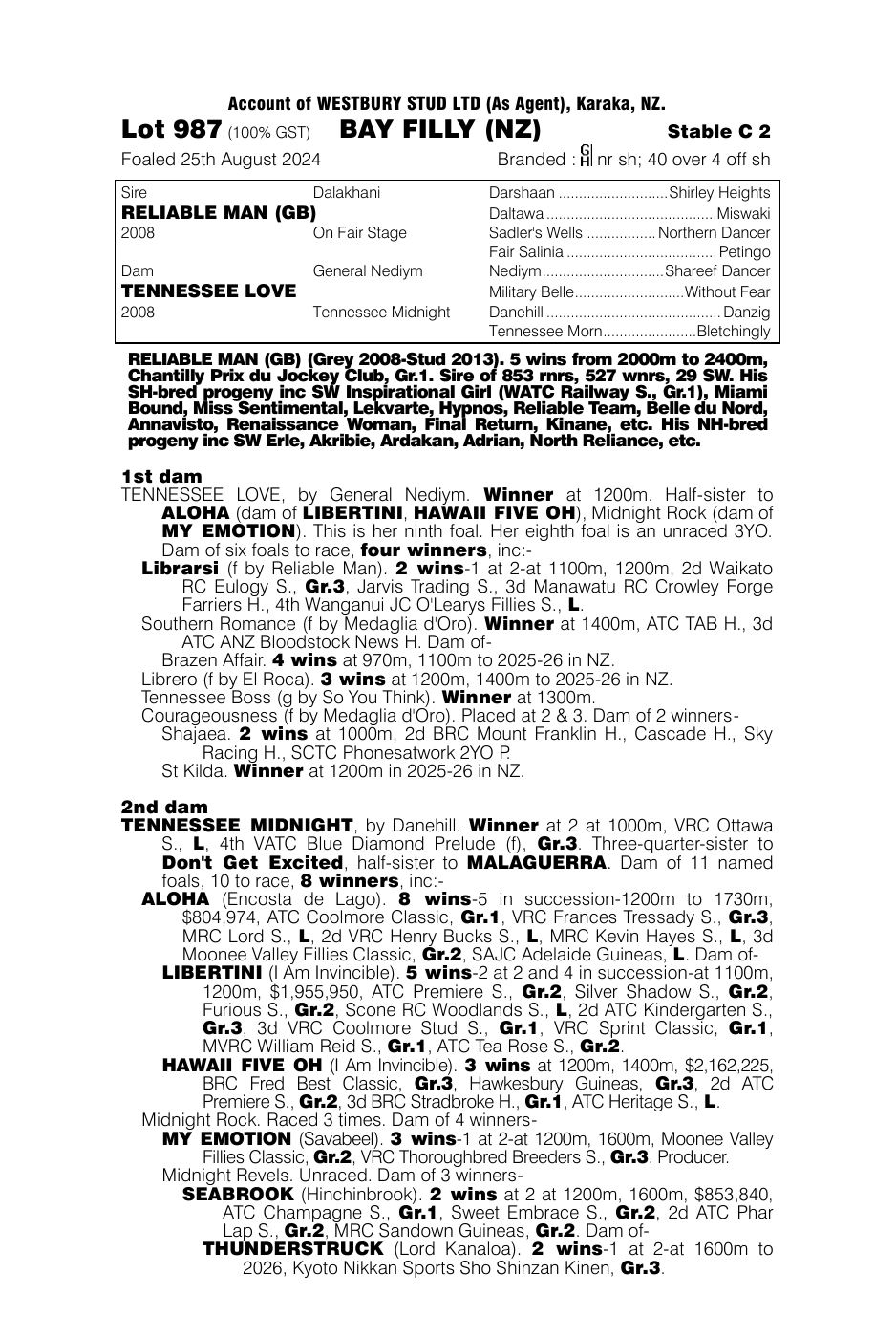 Pedigree - Lot 987