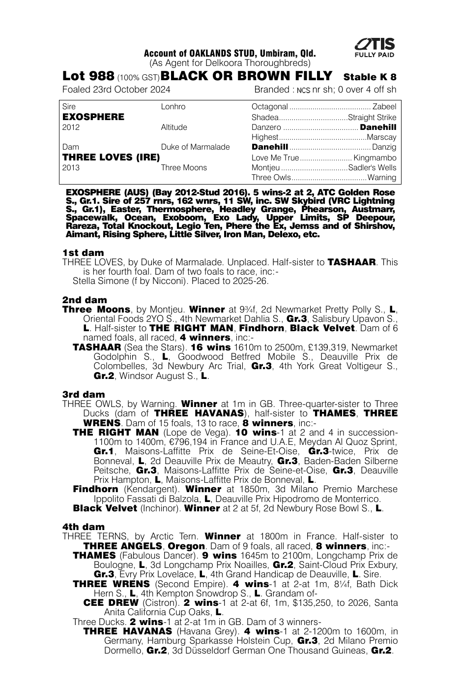 Pedigree - Lot 988