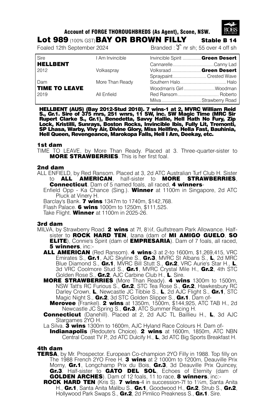 Pedigree - Lot 989