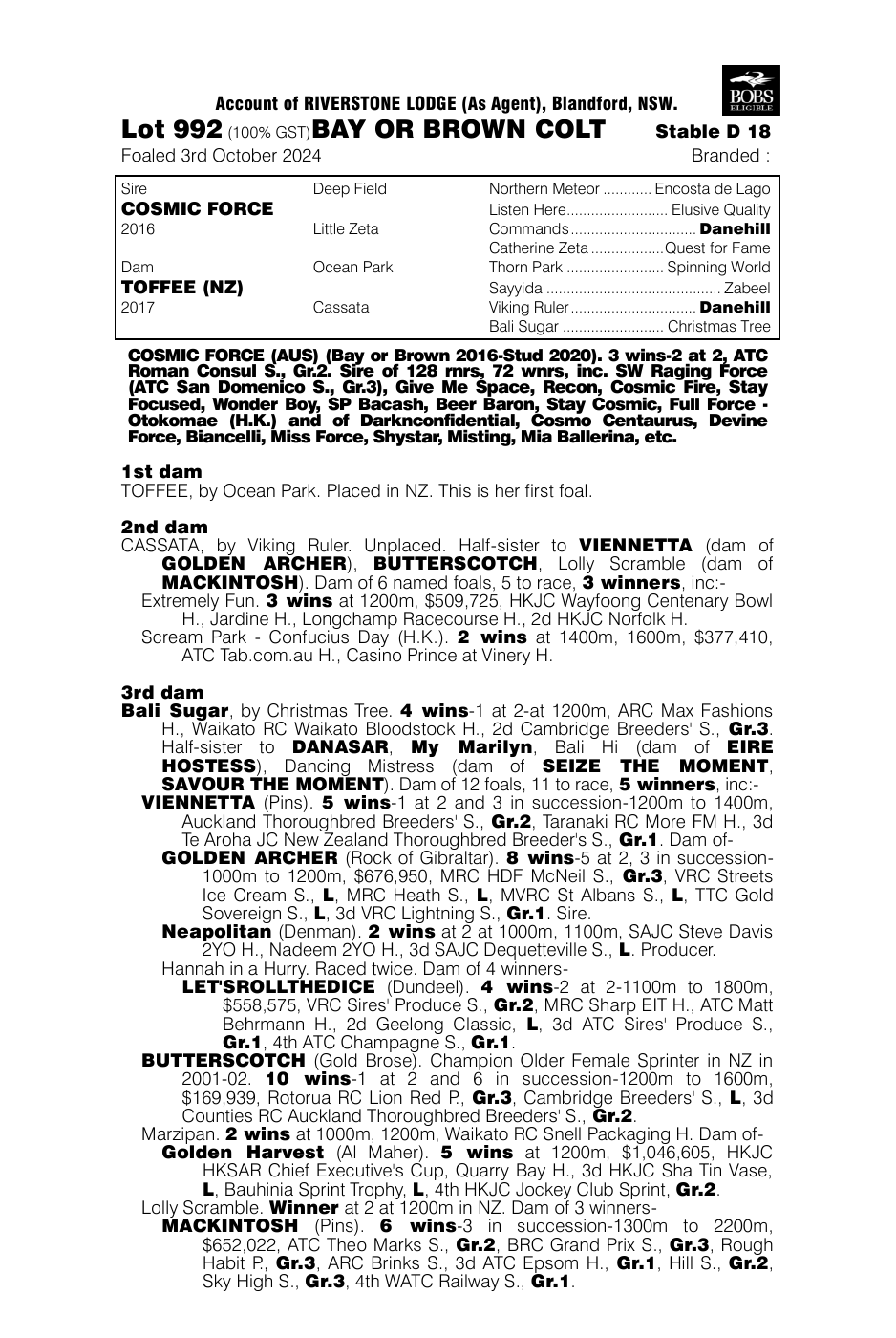 Pedigree - Lot 992