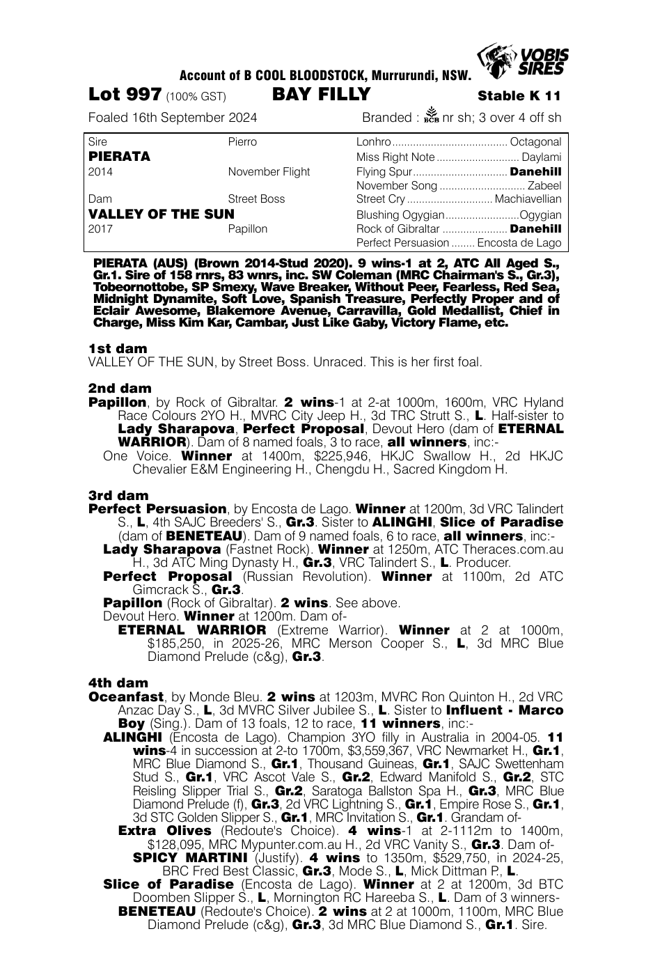 Pedigree - Lot 997