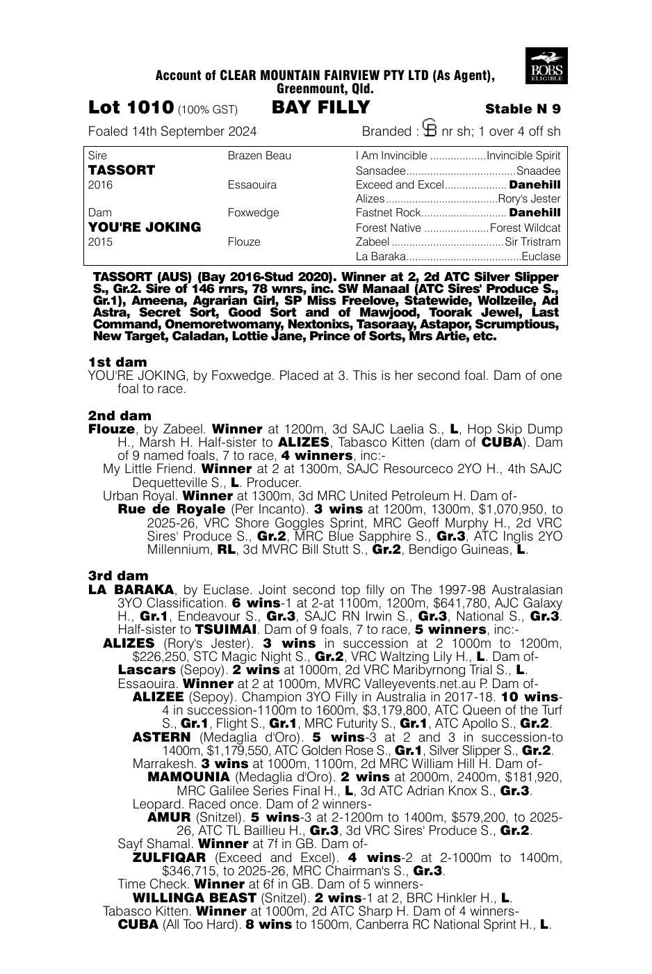 Pedigree - Lot 1010