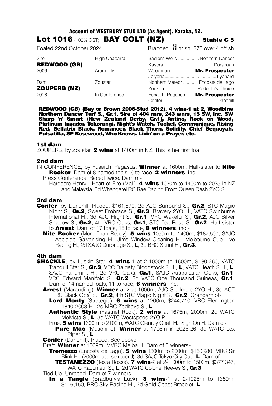 Pedigree - Lot 1016