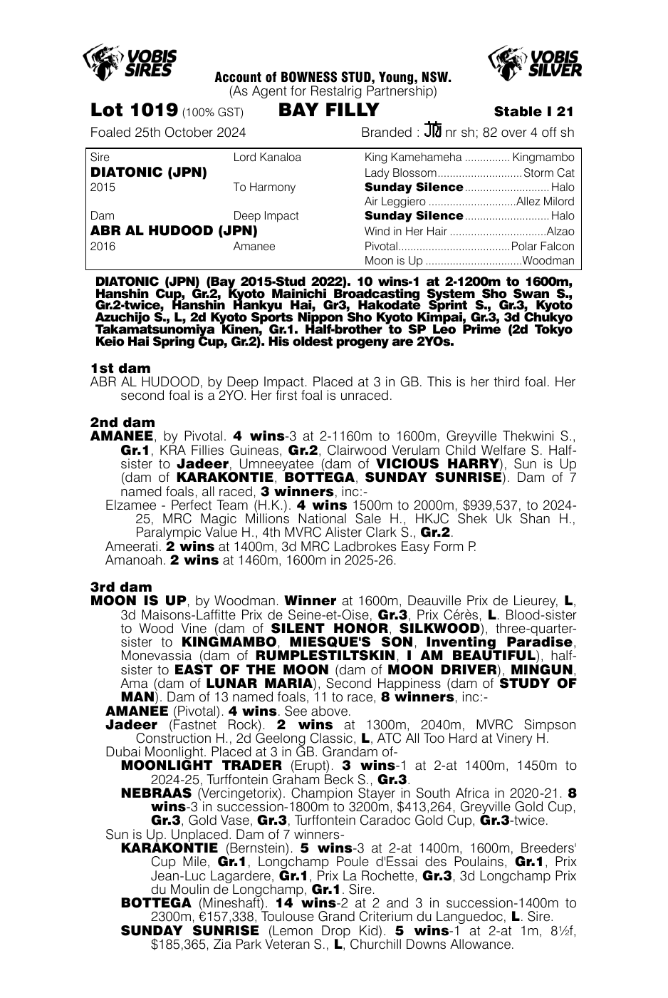 Pedigree - Lot 1019