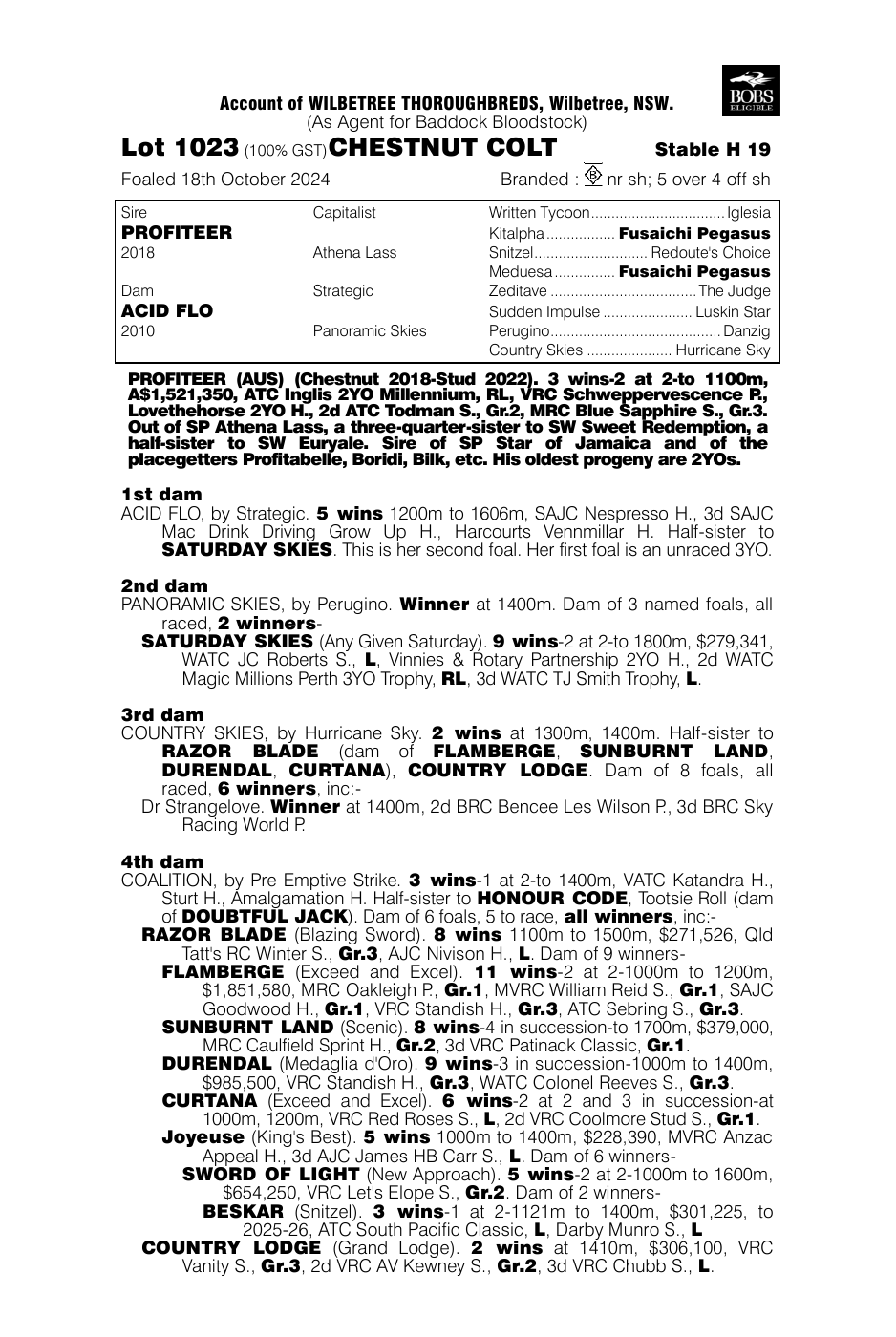 Pedigree - Lot 1023