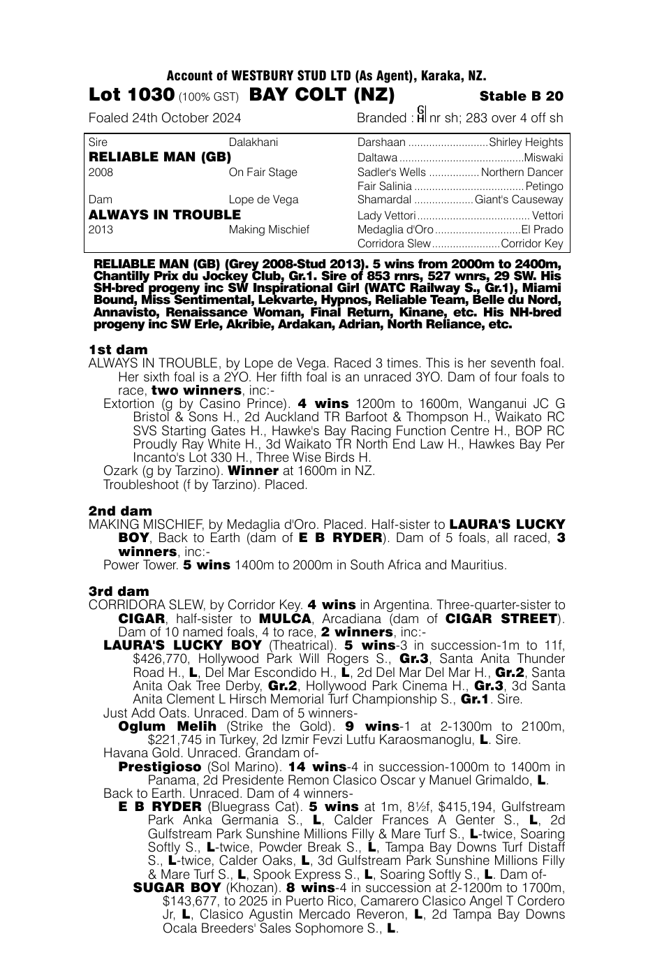 Pedigree - Lot 1030