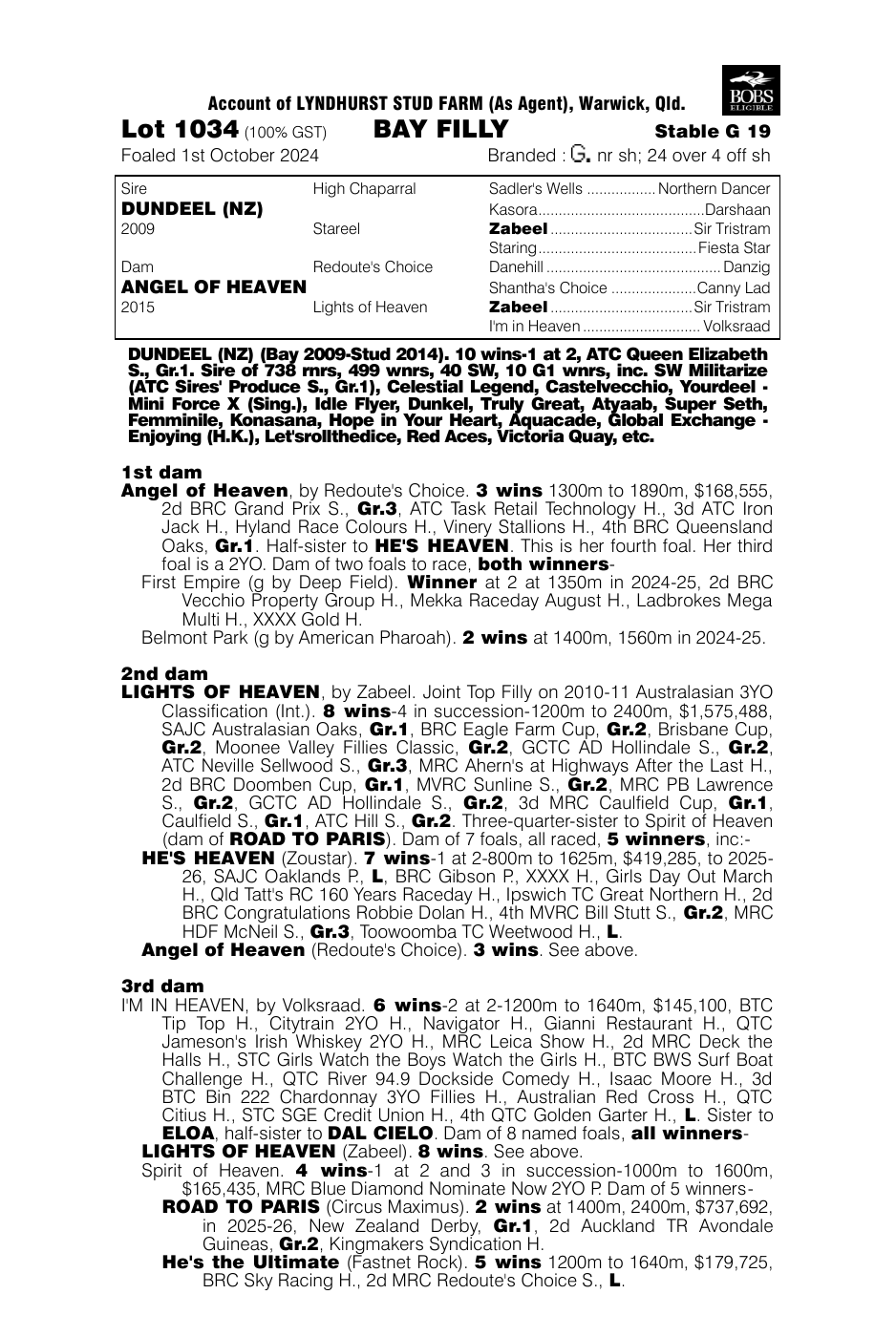 Pedigree - Lot 1034