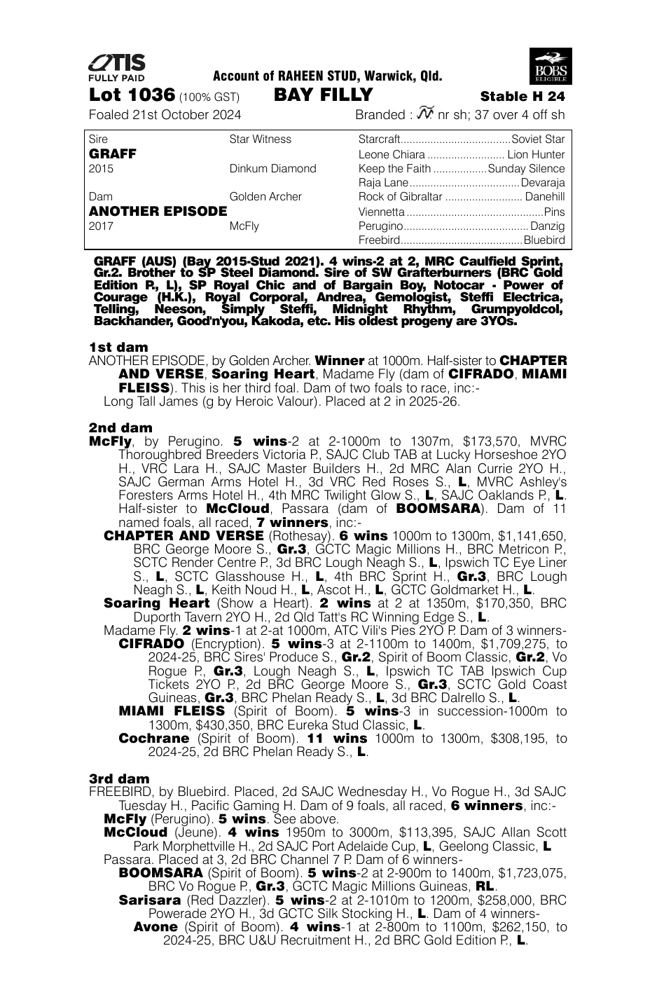 Pedigree - Lot 1036