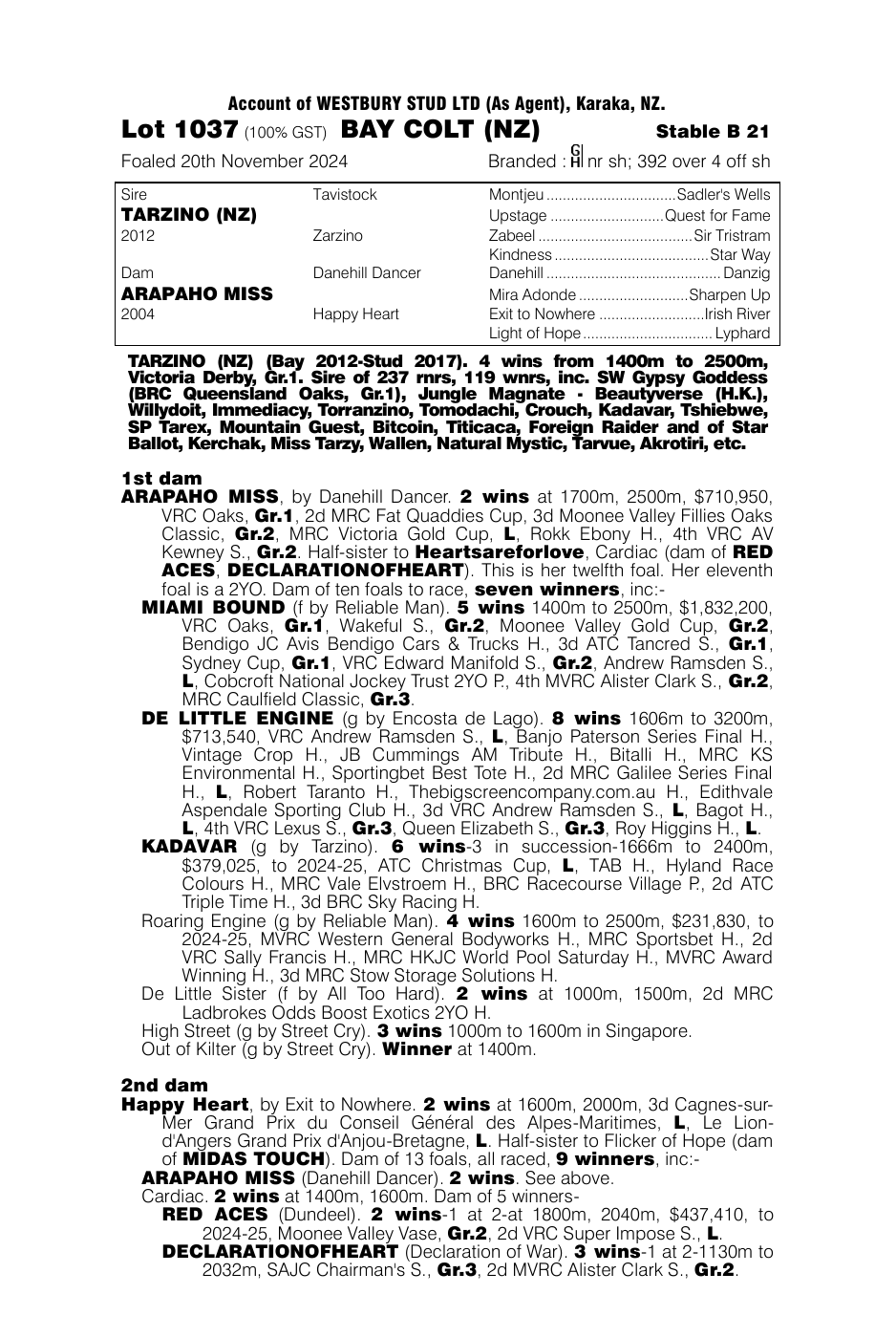 Pedigree - Lot 1037