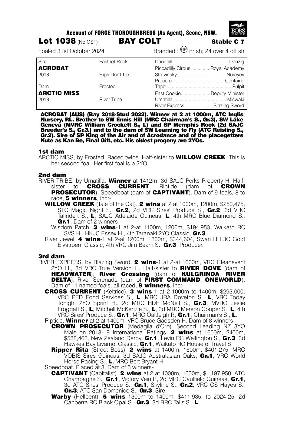 Pedigree - Lot 1038