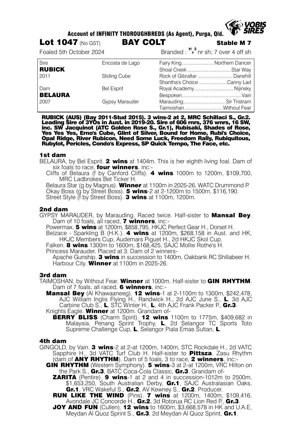 Pedigree - Lot 1047