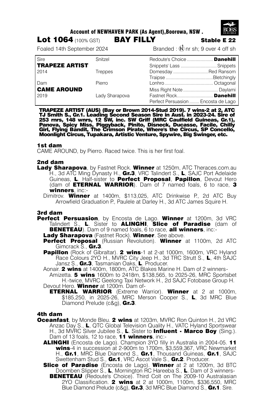 Pedigree - Lot 1064