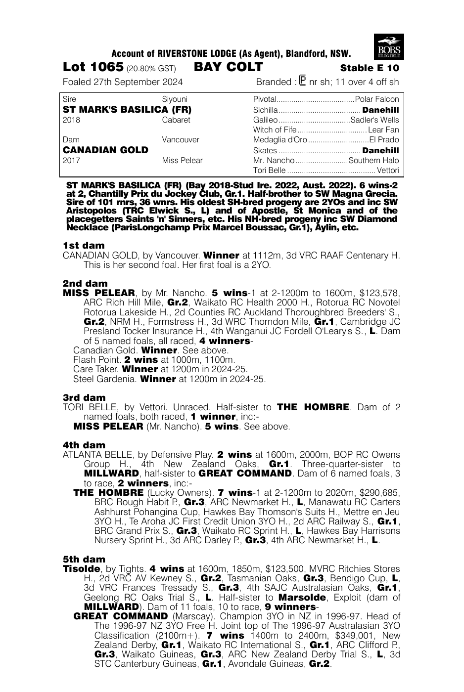 Pedigree - Lot 1065