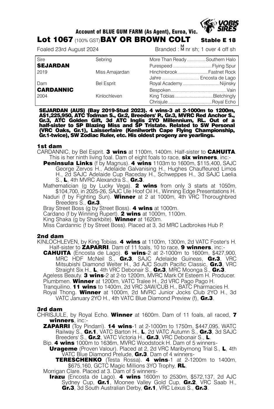 Pedigree - Lot 1067