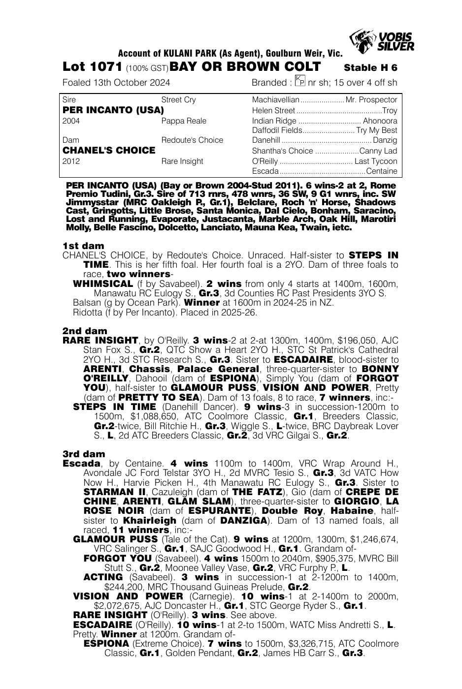 Pedigree - Lot 1071