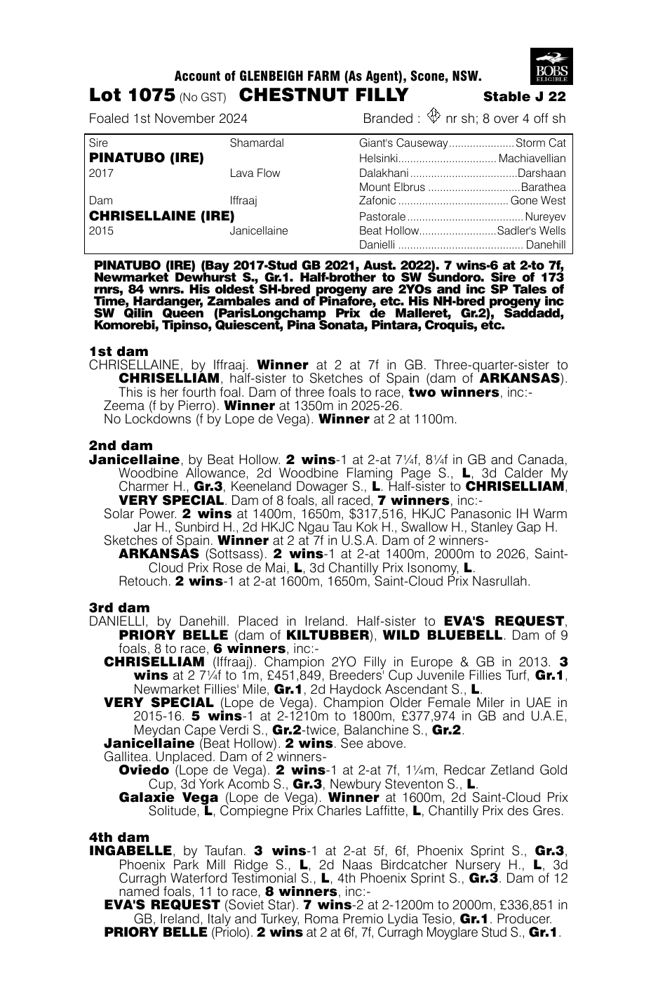 Pedigree - Lot 1075