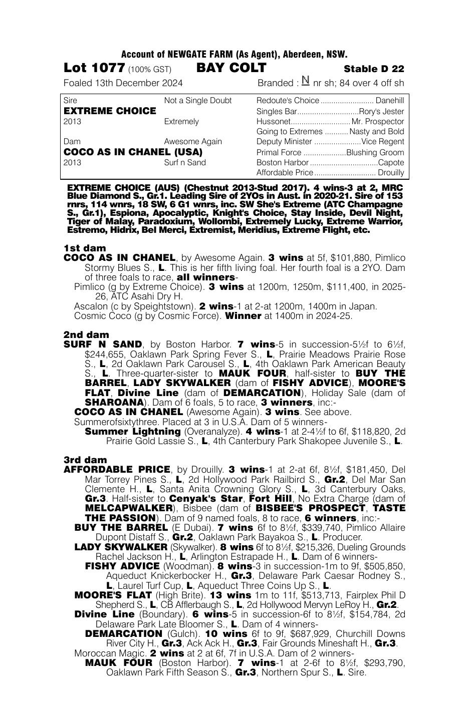 Pedigree - Lot 1077