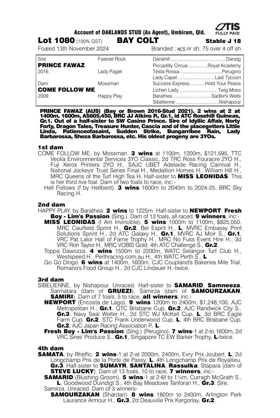 Pedigree - Lot 1080