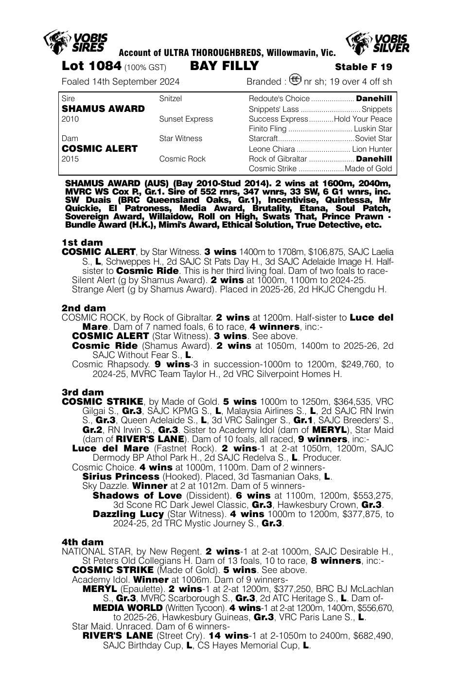Pedigree - Lot 1084