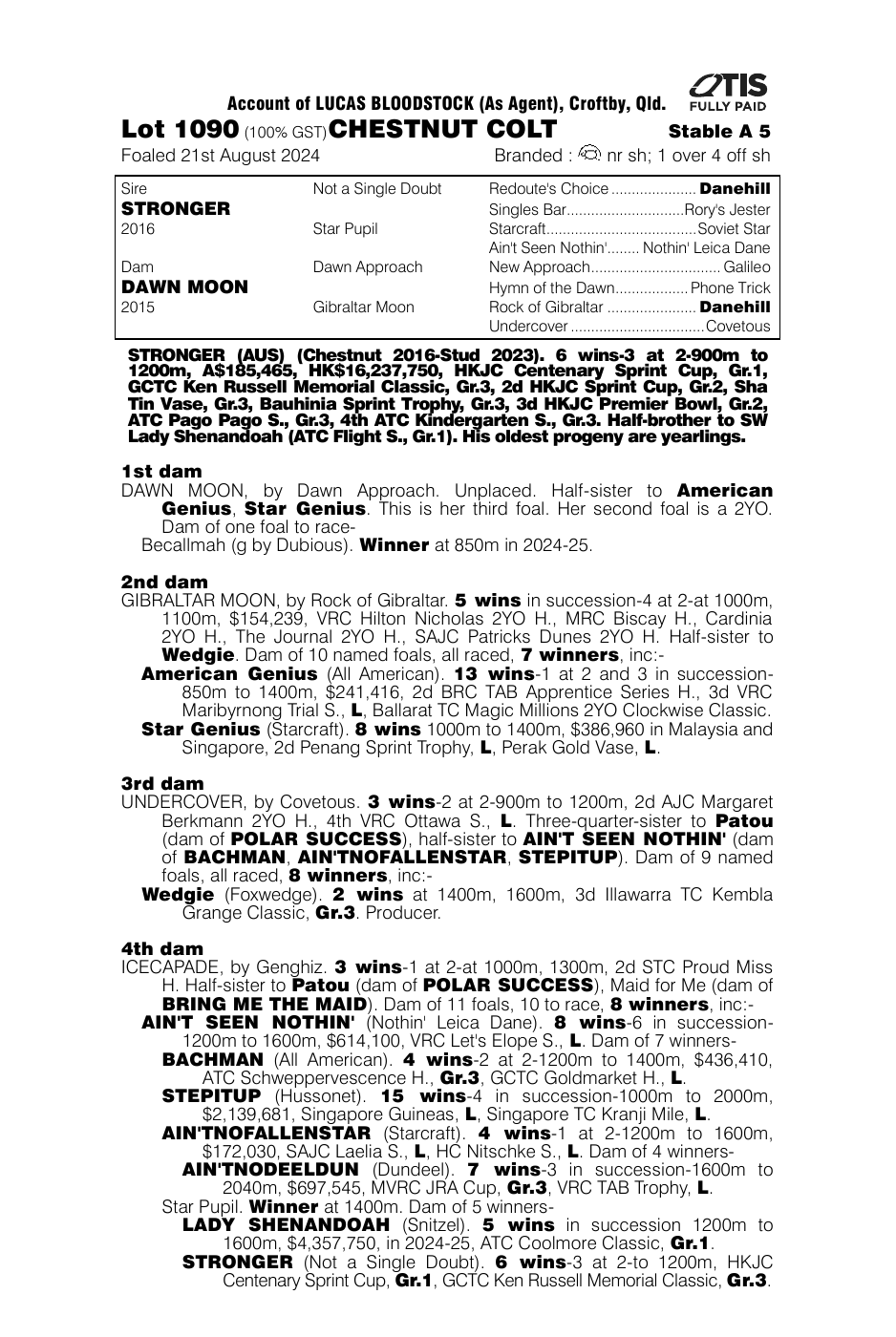 Pedigree - Lot 1090