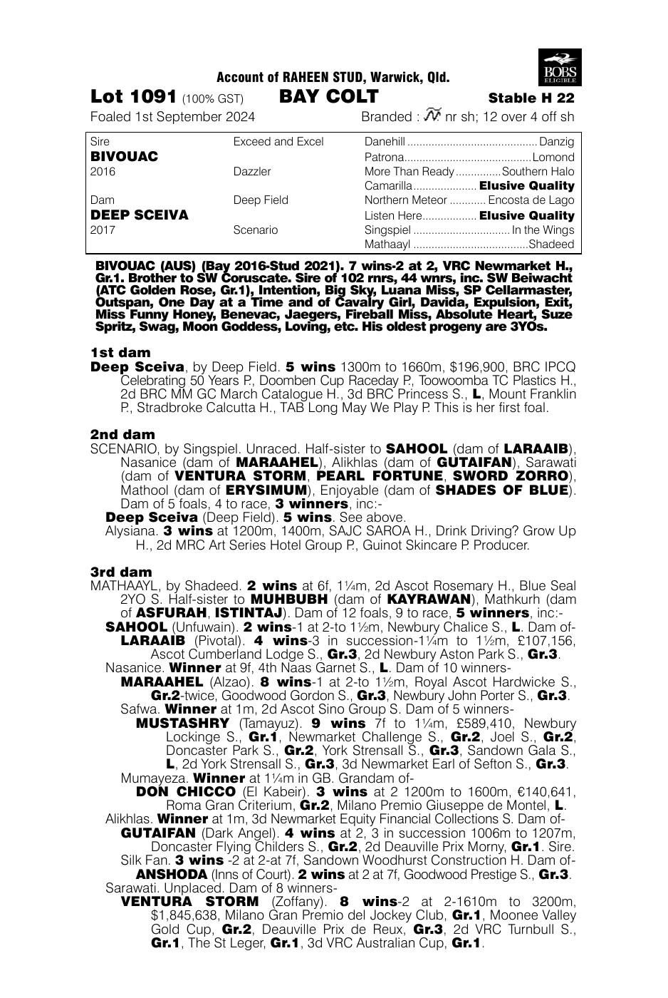 Pedigree - Lot 1091
