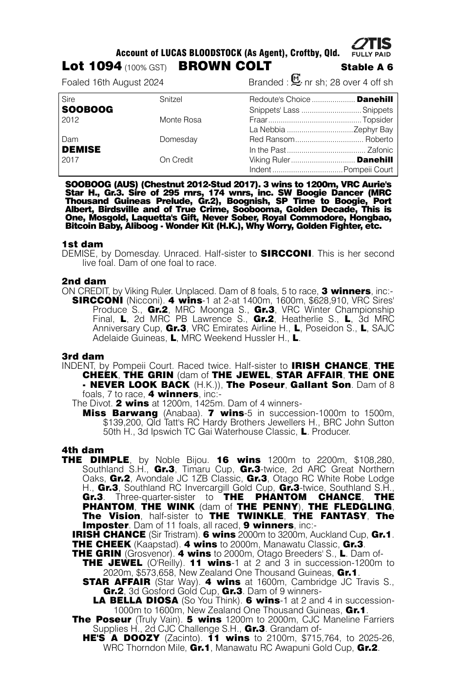 Pedigree - Lot 1094