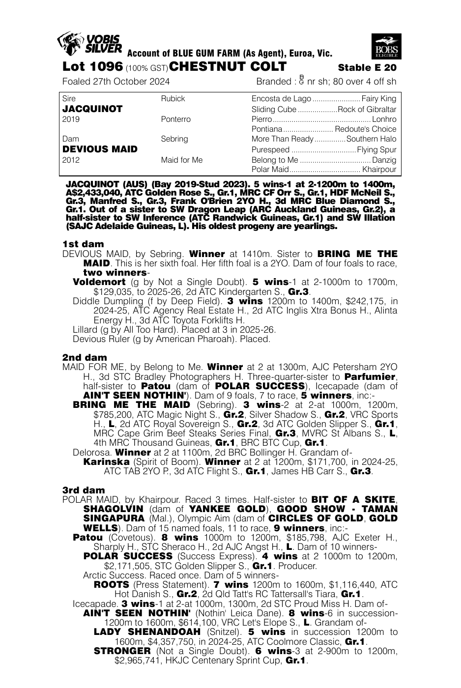 Pedigree - Lot 1096