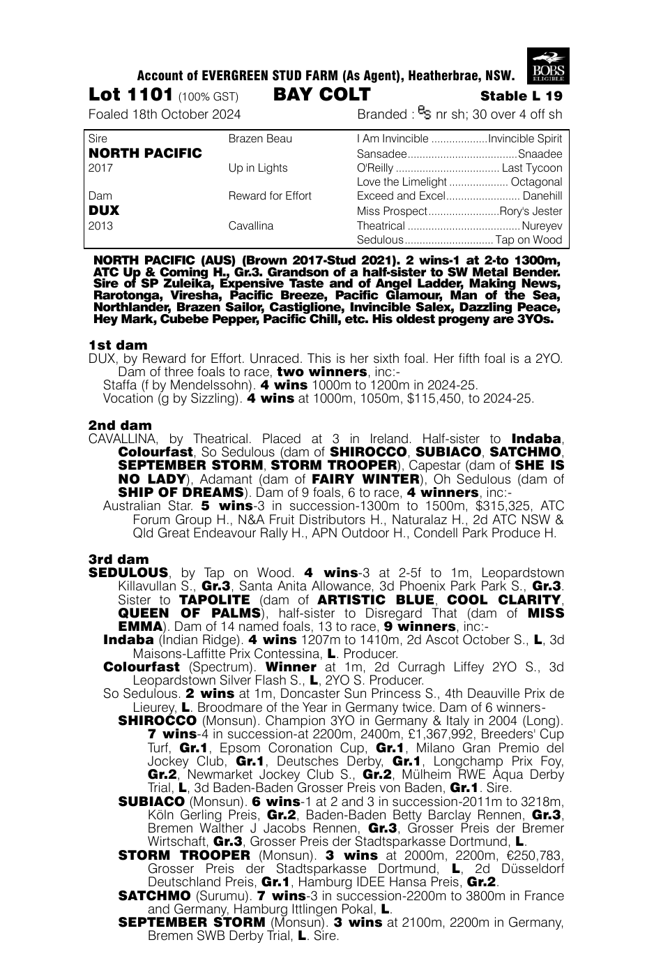 Pedigree - Lot 1101
