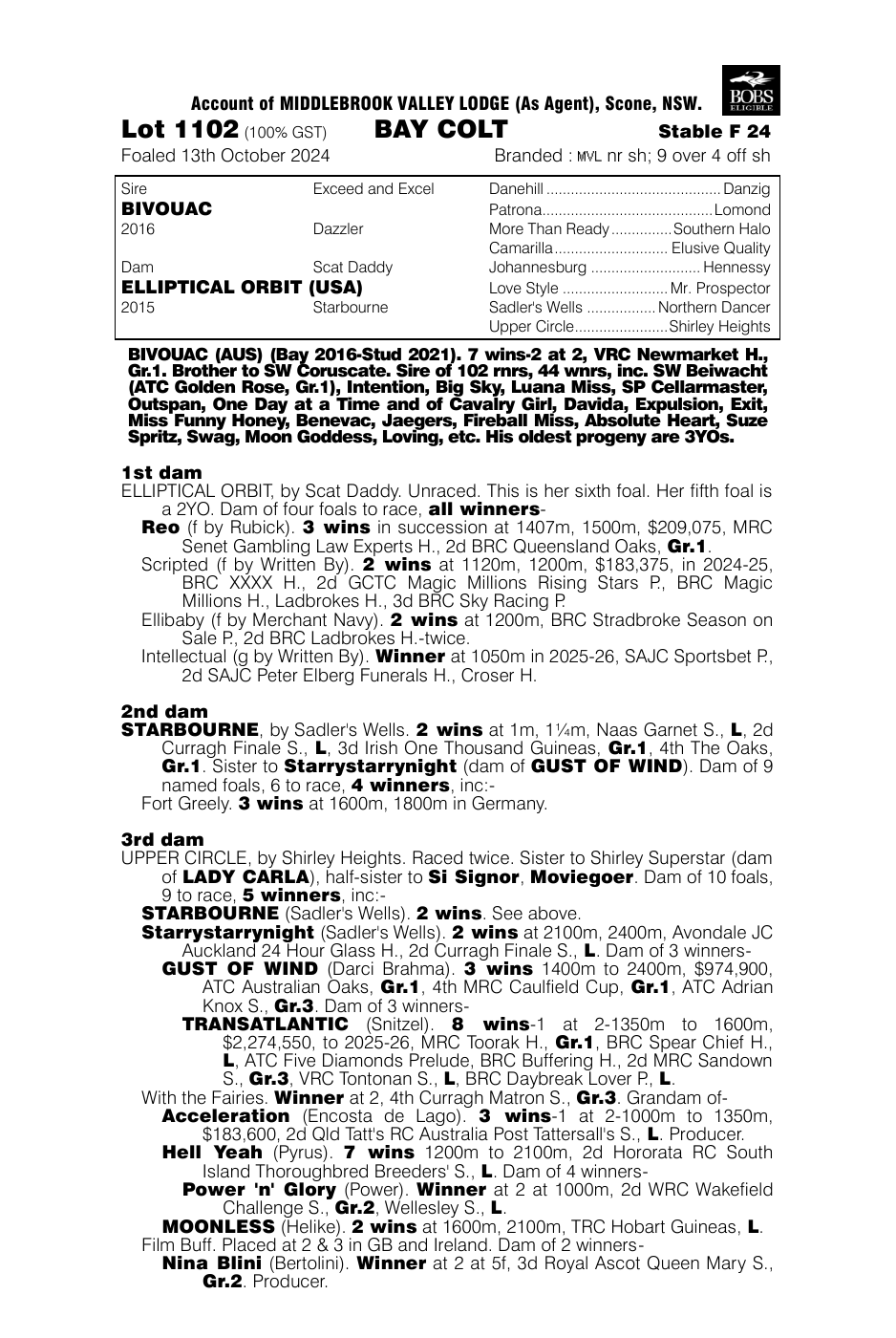 Pedigree - Lot 1102